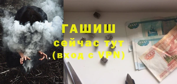 МДПВ Гусев