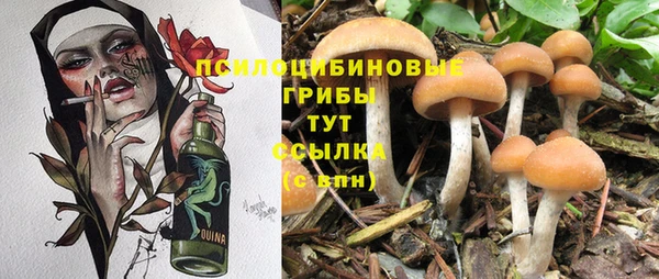mix Горно-Алтайск