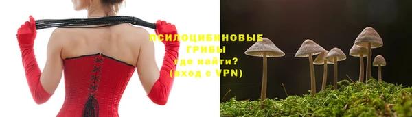 герыч Гусь-Хрустальный