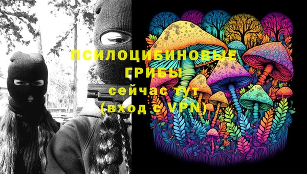 экстази Тайга