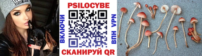 нарко площадка как зайти  Кыштым  Галлюциногенные грибы Magic Shrooms 